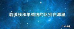 貂绒线和羊绒线有什么区别 貂绒线和羊绒线的区别在哪里