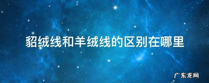 貂绒线和羊绒线有什么区别 貂绒线和羊绒线的区别在哪里
