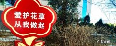 爱护花草的警示牌 爱护花草的警示牌标语