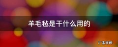 羊毛毡干啥用的 羊毛毡是干什么用的