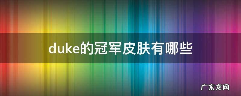 duke的冠军皮肤有哪些 duke有几个皮肤