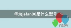 华为型号jefan20和jefan00的区别 华为jefan00是什么型号