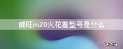 北汽威旺m30火花塞多少钱 威旺m20火花塞型号是什么