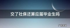 刚毕业交了社保还算应届毕业生吗 交了社保还算应届毕业生吗