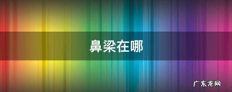 鼻梁在哪个部位 鼻梁在哪