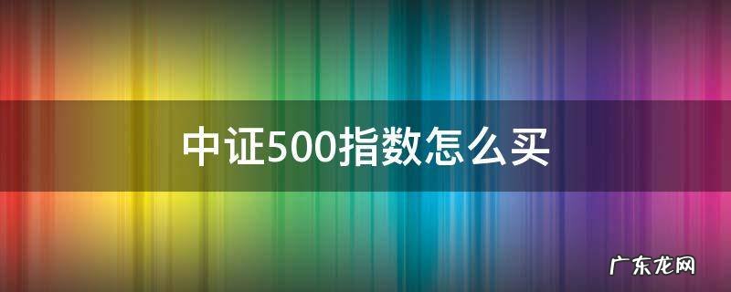 中证500指数怎么买 中证500指数行情怎么看
