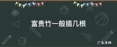 富贵竹一般插几根 富贵竹一般插几根最好