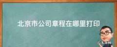 北京市公司章程在哪里打印 北京企业章程在哪里下载打印