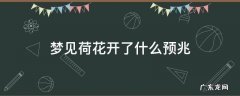 梦见荷花开了什么预兆 梦见荷花开了什么意思