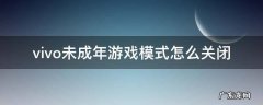 vivo手机游戏怎么取消未成年模式 vivo未成年游戏模式怎么关闭
