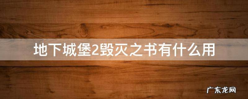 地下城堡2灭世之书 地下城堡2毁灭之书有什么用
