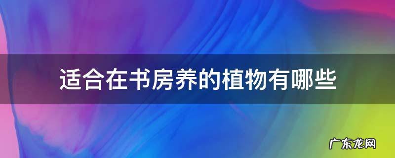 适合在书房养的植物有哪些 书房适合养什么植物