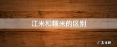 粽子江米和糯米的区别 江米和糯米的区别