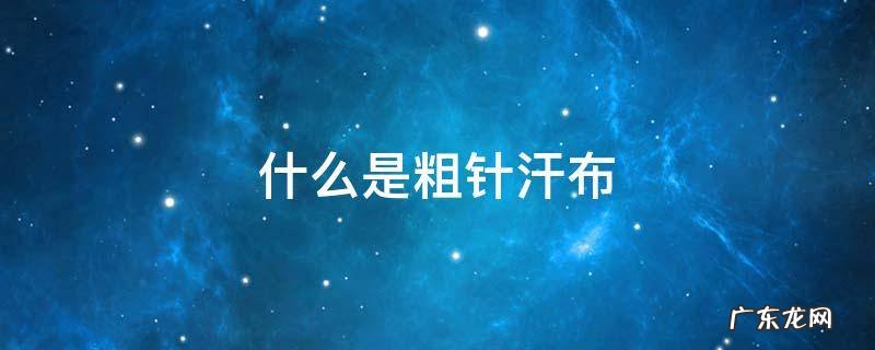 什么是汗布? 什么是粗针汗布