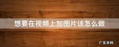 怎么样才可以在视频上加图片 想要在视频上加图片该怎么做