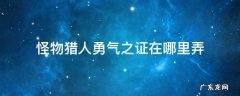 怪物猎人勇气之证在哪里弄 怪物猎人勇气之证在哪得