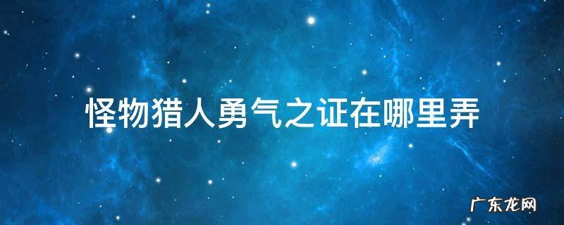 怪物猎人勇气之证在哪里弄 怪物猎人勇气之证在哪得