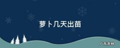 樱桃小萝卜几天出苗 萝卜几天出苗