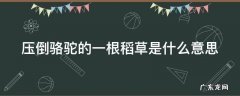 压倒骆驼的一根稻草是什么意思呀 压倒骆驼的一根稻草是什么意思