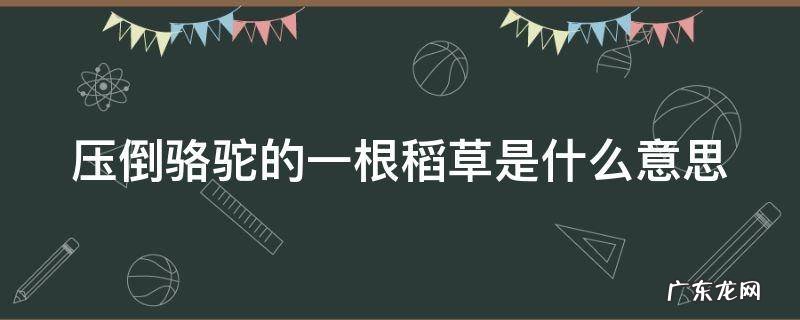 压倒骆驼的一根稻草是什么意思呀 压倒骆驼的一根稻草是什么意思