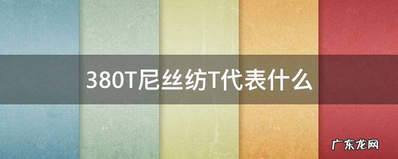 380T尼丝纺T代表什么 380t涤丝纺