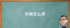 宋梅怎么养 宋梅怎么养开花