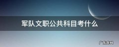 军队文职公共科目考什么