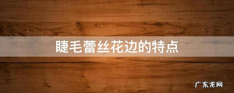 睫毛蕾丝面料特点 睫毛蕾丝花边的特点