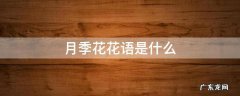 月季花花语是什么 月季花的花语是