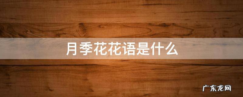 月季花花语是什么 月季花的花语是