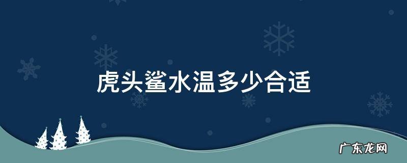 虎头鲨鱼水温度多少最佳 虎头鲨水温多少合适
