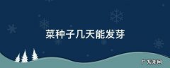 菜种子几天能发芽 小青菜种子几天能发芽