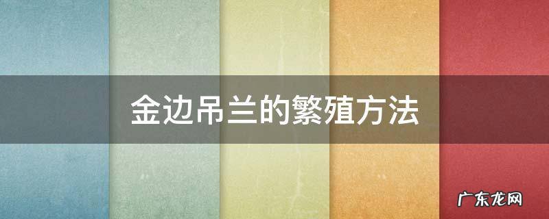 金边吊兰种植方法 金边吊兰的繁殖方法