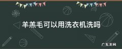 羊羔毛可以用洗衣机洗吗 羊羔毛能放洗衣机洗吗