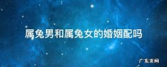 属兔男和属兔女的婚姻配吗 属兔男与属兔女婚配吗
