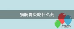 猫肠胃炎吃什么药 猫肠胃炎吃什么药管用
