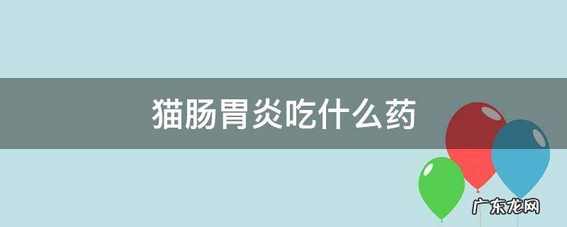 猫肠胃炎吃什么药 猫肠胃炎吃什么药管用