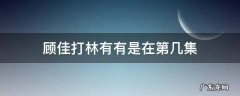 顾佳教训林有有是第几集 顾佳打林有有是在第几集