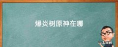 爆炎树原神在哪 爆炎树原神在哪里