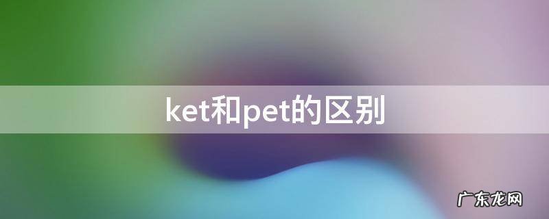 ket和pet的区别 ket和pet的区别是什么