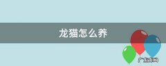 龙猫怎么养 龙猫怎么养胖