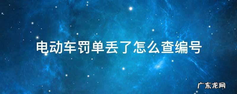 电动车罚单丢了怎么查编号武汉 电动车罚单丢了怎么查编号