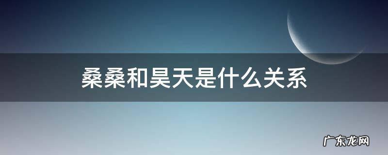 桑桑知不知道自己是昊天 桑桑和昊天是什么关系