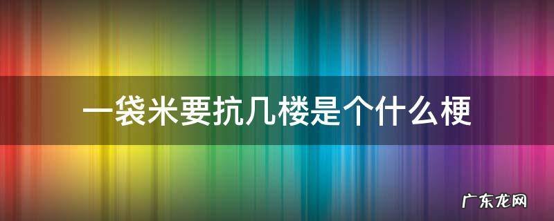 一袋米要抗几楼的梗 一袋米要抗几楼是个什么梗
