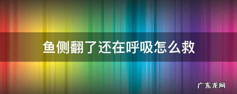 鱼侧翻了还在呼吸怎么救 鱼侧翻了还在呼吸能活几天