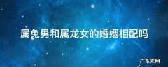 属兔男和属龙女的婚姻相配吗 属兔男和属龙女配婚姻好不好