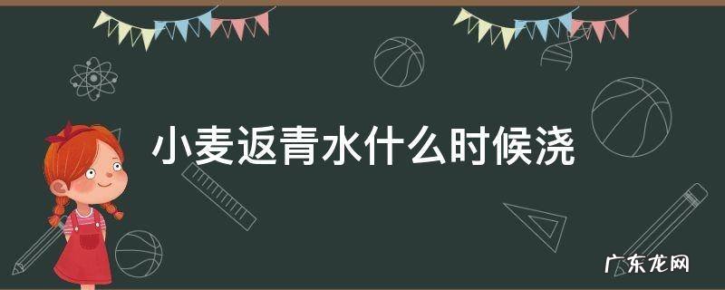 小麦返青水什么时候浇好 小麦返青水什么时候浇