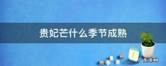 贵妃芒果是几月份成熟 贵妃芒什么季节成熟