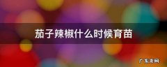 茄子辣椒什么时候育苗 辣椒怎么育苗,茄子育苗方法