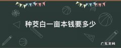 茭白种植一亩费用多少 种茭白一亩本钱要多少